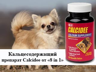 Ускорить зарастание родничка помогают кальцесодержащие пищевые добавки 