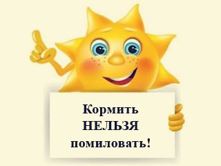 Кормить нельзя, помиловать! 