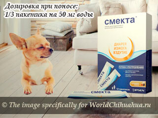 Лекарственное средство от поносу у чихуахуа - &laquo;Смекта&raquo; 